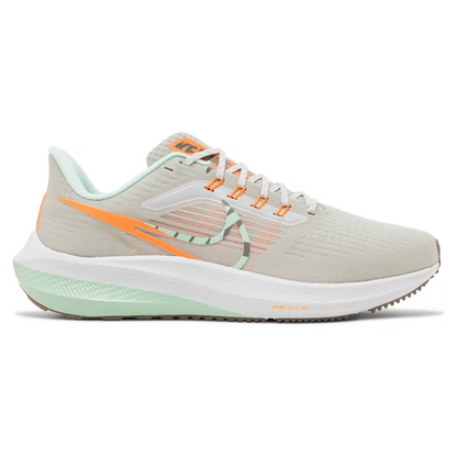 Women's Nike Pegasus 39